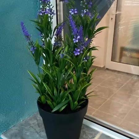 Sunrise Sea Garden Burgas