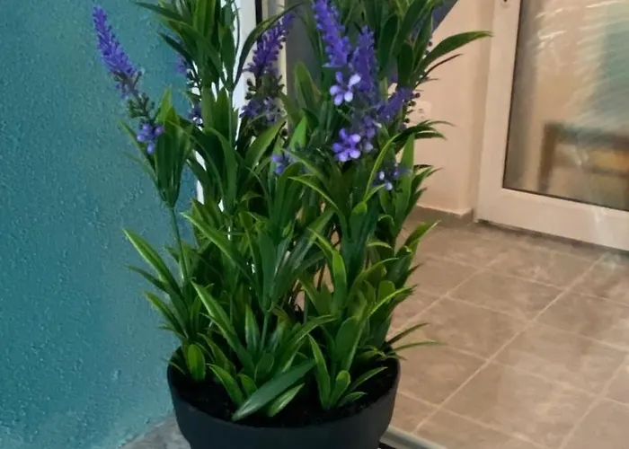 Sunrise Sea Garden Burgas